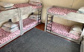 The Nest Hostel